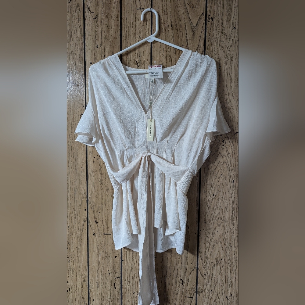 Max Studio Tie Blouse